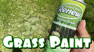 How To Paint Grass Green
