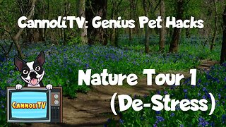 Genius Pet Hack: Calm your dog before training - Nature Tour 01