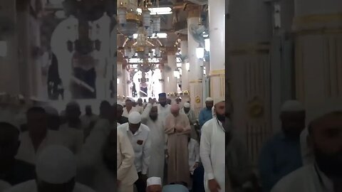 Riaz ul Jannah | Roza E Rasool (PBUH) | Al Masjid an Nabawi | SubhanAllah | Alhamdulillah