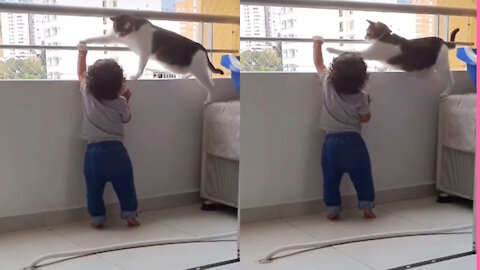 Cat Saves Baby's Life