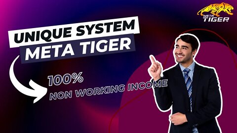 Unique System Meta Tiger 100% non working income