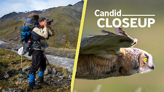 Remarkable wildlife photos shine a light on conservation: Candid Closeup