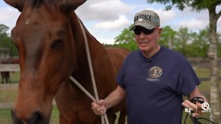 Horses helping veterans reduce stress, escape isolation