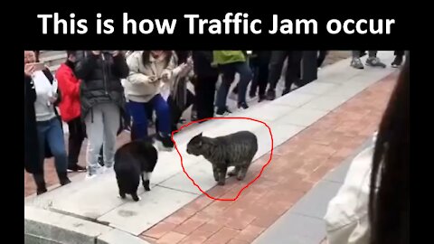 This is how traffic jam occur
