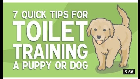 Dog toilet training