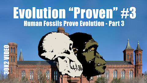 Smithsonian: Transitional Human Fossils Prove Evolution
