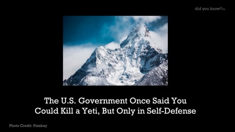 The U.S. Government Once Said You Could Kill A Yeti