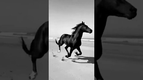 Beautiful Blackish 🐎 Riding | Bahubali #shorts #entertainment #funnyvideo #infinitepets