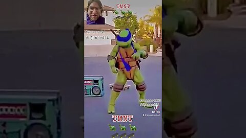 TMNT 🐢🛹🐢🛹🐢🛹 skateboard #dynacrafts #mirage #teenagemutantninjaturtles boarding #djonoedit