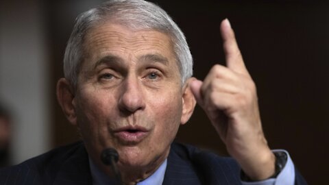 White House Says Fauci Playing Politics In Critique Of Virus Response