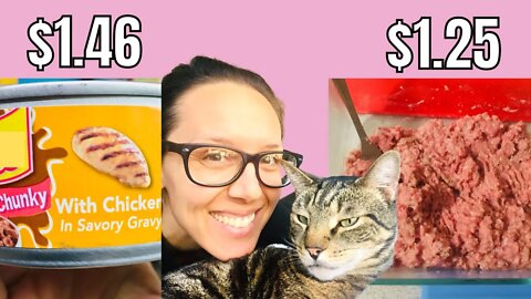 How to feed your cat raw without going broke