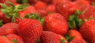 Strawberries found to have most pesticide residue