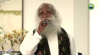 Channelizing Your Energy For Success Sadhguru