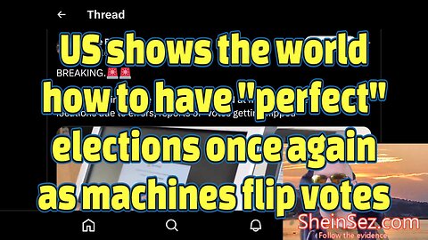 US shows the world how to have "perfect" elections once again as machines flip votes-SheinSez 346