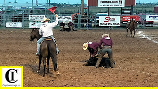 Stray Gathering - 2022 West Texas Ranch Rodeo | Saturday