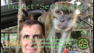 Project Serendipity: The Last Tropical Frontier #6