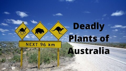 Deadly plants of Australia.