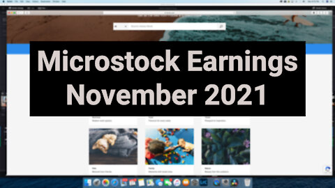 Microstock Earnings - November 2021