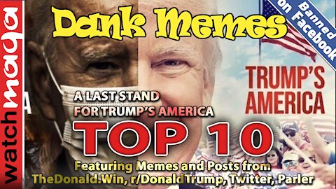 TOP 10 MEMES A Last Stand for Trump's America