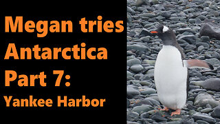 Megan tries Antarctica, Part 7: Yankee Harbor