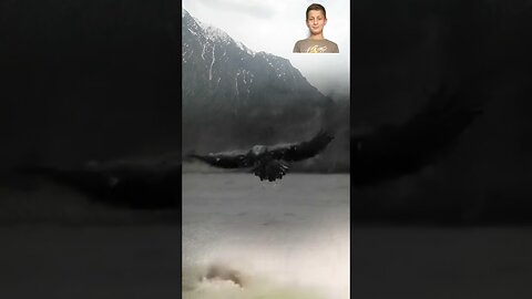 A mountain eagle tries to soar in the wind