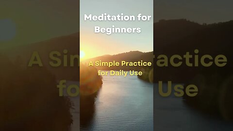 Beginner Meditation | Cultivate Presence and Focus in Just 15 Minutes a Day
