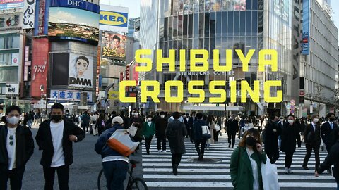 Shibuya Scramble Crossing, Tokyo