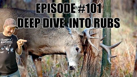 #101 - Deep Dive Into Rubs