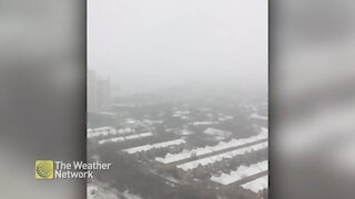 Watching the snowstorm from up high