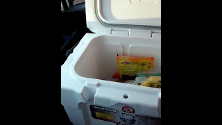 Igloo Car Cooler in ACTION