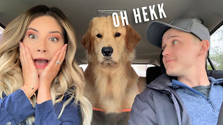 My Dog Reacts to Car Wash!