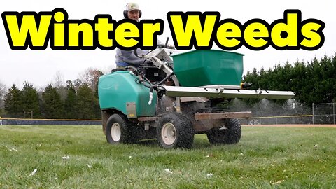 Winter Weed Control For Lawns