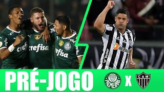 PRÉ-JOGO PALMEIRAS X ATLÉTICO-MG. AO VIVO PAULO MASSINI.