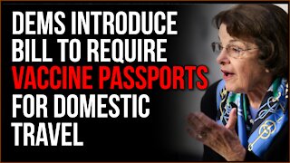 Democrats Introduce Bill To Require Covid Passports For Domestic Travel