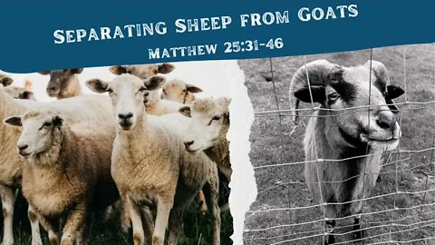 Matthew 25:31-46 (Full Service), "Separating Sheep from Goats"