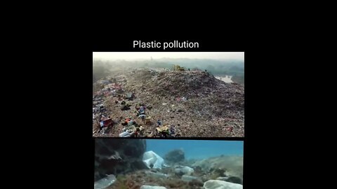 Plastic pollution shorts,#Shorts,#plasticpollution , #plasticfree, #plastics, #education