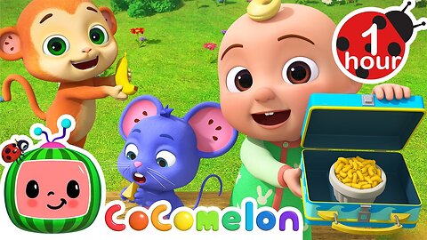 Yummy Lunch Song + More CoComelon Nursery Rhymes &amp; Animal Songs