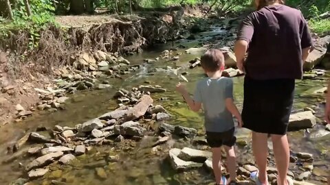 Come Play with Me! Lets go to the Creek! Found Two cool Frogs 🐸