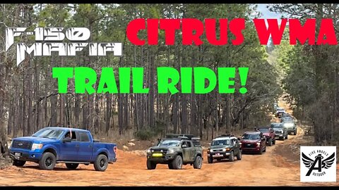 Trail Ride: Colorado ZR2 AEV Bison with the F150 Mafia and Buffalo Off-Road - Citrus WMA