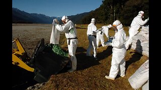 Poisoning Paradise - New Zealand