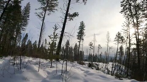 Whitefish, Montana: Snowshoeing the Swift Creek Trail