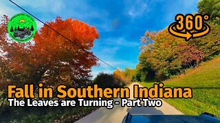 Autumn Foliage in Southern Indiana: Part Two