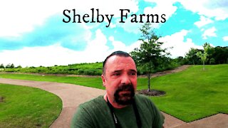 Shelby Farms Tennessee