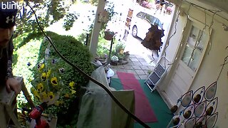 NORTH_VIDEO_DOOR_BELL_2023-05-18T11_53_06-0400.mp4