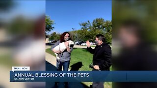 Annual blessing of the pets at St. Ann Center