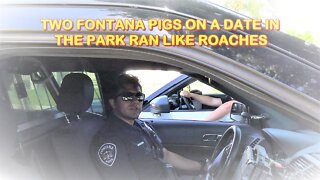 FIRST AMENDMENT FOLLOW UP | AL SOCAL | FONTANA PIGS