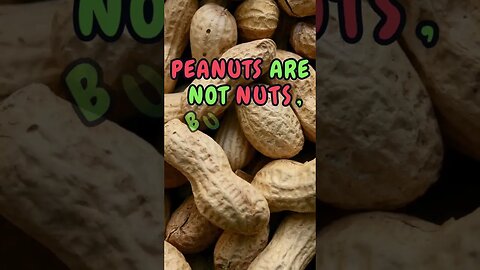 🥜Who Knew This Fact About Plants?🪴 #Shorts #ShortsFact #Plants #PlantFacts #legume #peanut