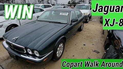 Copart Walk Around, Jaguar XJ8, ScatPack SMASHED, GT Mustang Performance Package