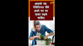 टॉप 4 मेडिसिनल पौधे जो आपके घर मे होने चाहिए *