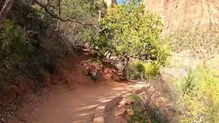 Hiking the Lower Emerald Pool Trail in Zion National Park